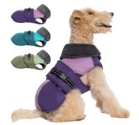 Aimydog Winter Dog Coat - Reflective Snowsuit Jacket with Zippered Leash Hole, High Collar, Purple, sizes S to L