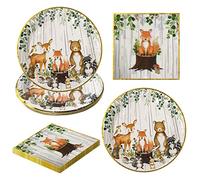 AINIUNIU Jungle Safari Theme Party Tableware Set 20 Pieces Animal Party Decorations Birthday Animal Theme Party Decorations Paper Plates Napkins Birthday Party Tableware (10 Guests)
