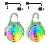 Ainiv 2 Pack LED Dog Collar Safety Lights, 4 Flashing Modes Dog Pendant Light USB Rechargeable for Pets Night Walking Camping IPX68 Waterproof Green