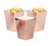 Ainmto 24PCS Rose Gold Popcorn Boxes Mini Paper Popcorn Containers for Movie Night party