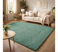 Rugs by Desire Ainsley Plain Living Room Shaggy Area Rug Modern Soft Pile Polyester Rug Emerald 60 x 110 cm (Rectangular)