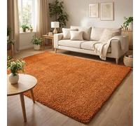 Ainsley Plain Soft Shaggy Modern Living Room Rug, Terracotta, 160x230cm