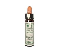 Ainsworth | Clematis Remedy | 1 x 10ml