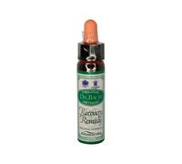 Ainsworths 10ml Recovery Remedy