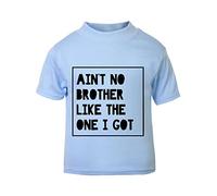 Ain't no Brother Like The one I got Sibling Statement [BBY5] Short Sleeve Cotton Toddler t Shirt, 1-2 Years, Pastel Blue