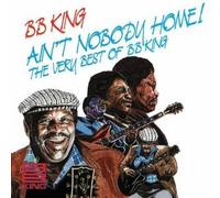 Ain't nobody home-The very best of
