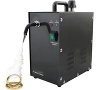 AiODiO 2L Jewelry Steam Cleaner, 135°C Pro Steamer for Gold/Silver Black