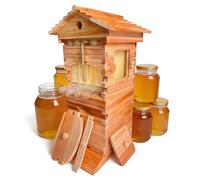 AiODiO Bee Hive Complete Kit ，Self-Flowing Honey Beehive with Observation Window and Honey Spout,Complete Beekeeping Wooden Bee Box with 4 Frames & 6 Honeycomb Trays