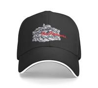 AIOGCAEX Baseball Cap FooFighters “I Made Lasagna” Vintage Hip Hop Men Women's Holiday Sports Gifts