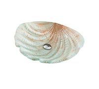 Aioneer Bathroom Vessel Sink Tempered Glass Vessel Sink Shell Shaped Counter Top Installation Bathroom Vessel Vanity Sink Art Basin With Brass Pop Up Drain, 480 X 420 X 160 Mm-White