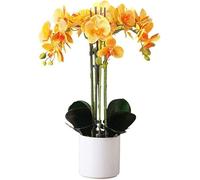 Aioneer Orchid Artificial Flowers Artificial Flowers Orchids Artificial Silk Cloth Artificial Phalaenopsis Flowers Decorative Plants For Home Living Room Nat (A A)-A-A