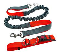 Aiqeer Hands Free Dog Leash, Orange & Grey, Adjustable Waist Belt (70-130 cm), Retractable Bungee Leash (130-180 cm), Reflective Stitching