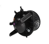Air blowe THERMOTEC DDB018TT for MINI MINI (R56) 2 2011-2013