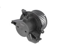 Air blowe THERMOTEC DDF007TT for FIAT PUNTO (188_) 1.3 2003-2012