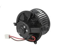 THERMOTEC DDX020TT Blower motor
