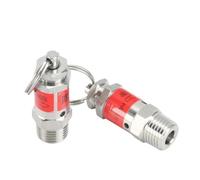 Air Compressor Pressure Relief Valve, 304 Stainless Steel Safety Relief Valve Spring Type Pressure Release 0.5-10 Bar (0.05-1 MPa) 1/8 & 1/4 BSPT Male Thread(3 Bar (0.3 Mpa),1/8 BSPT)