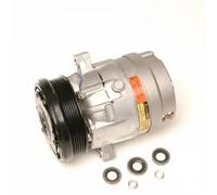 Air conditioning compressor PAG 46 CS20009-11B1 DELPHI for BUICK LESABRE