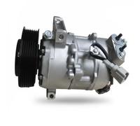 Air conditioning compressor PAG 46 CS20502 DELPHI for RENAULT SCÉNIC III
