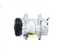 Air conditioning compressor R 134a PAG 46 090.225.010.876 BV PSH for CITROËN