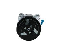 Air conditioning compressor R 134a PAG 46 090.305.042.876 BV PSH for VW