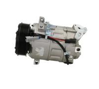 Air conditioning compressor R 134a PAG 46 090.575.053.000 BV PSH for RENAULT
