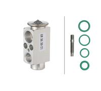 Air Conditioning Expansion Valve Fits BMW X5 X6 HELLA 8UW 366 260-271
