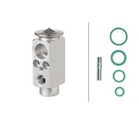Air Conditioning Expansion Valve Fits Mercedes HELLA 8UW 366 260-171
