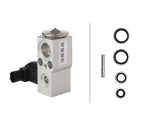 Air Conditioning Expansion Valve Fits Mercedes S-Class HELLA 8UW 366 260-051