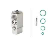 Air Conditioning Expansion Valve Fits Renault Kangoo HELLA 8UW 366 260-081