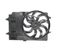 THERMOTEC D8B003TT Fan, radiator
