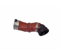 NRF 166067 Charger intake hose