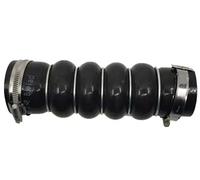 BUGIAD 81949 Charger intake hose