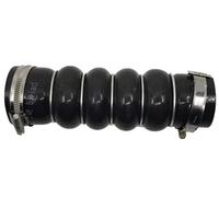 BUGIAD 81949 Charger intake hose