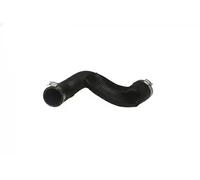 BUGIAD 82272 Charger intake hose