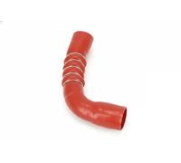 NRF 166379 Charger intake hose