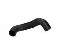 ORIGINAL IMPERIUM 20619 Charger intake hose