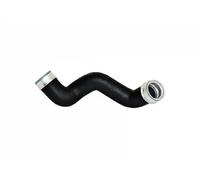 BUGIAD 82675 Charger intake hose