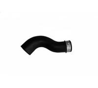 BUGIAD 82691 Charger intake hose