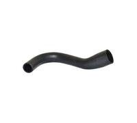 BUGIAD 85642 Charger intake hose