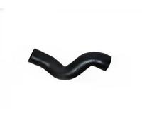 BUGIAD 87618 Charger intake hose
