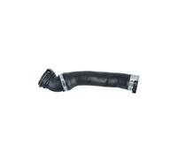 NRF 166400 Charger intake hose