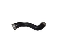 BUGIAD 81656 Charger intake hose