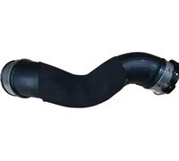 BUGIAD 82065 Charger intake hose