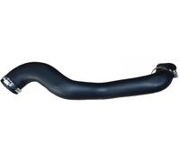 BUGIAD 82161 Charger intake hose