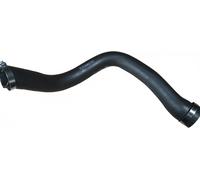 BUGIAD 82167 Charger intake hose