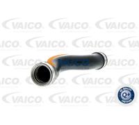 VAICO V10-2698 Charger intake hose