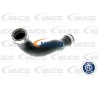 VAICO V30-1780 Charger intake hose