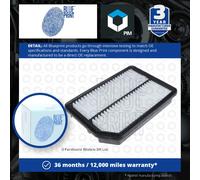 Air Filter ADG022127 Blue Print S281132F800 281132F800 Top Quality Guaranteed