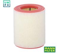 MANN-FILTER C 16 005 Air Filter - for Cars + Transporters