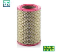 C17192 Air Filter (Brand Mann Filter)